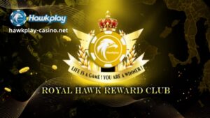 Kung napag-alaman na ang manlalaro ay gumagamit ng hindi tamang paraan upang makakuha ng mga reward sa website, ang Hawkplay ay may karapatan na kanselahin ang diskwento ng manlalaro.